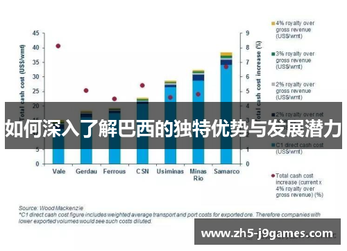 如何深入了解巴西的独特优势与发展潜力